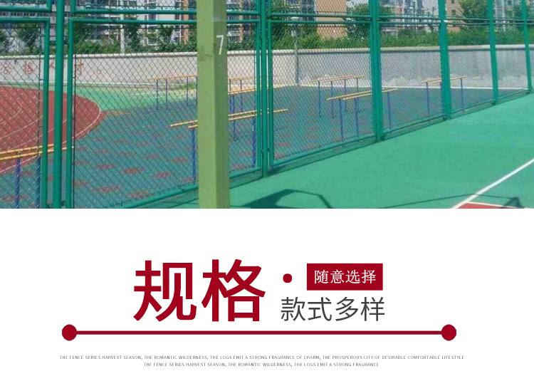 體育場(chǎng)圍網(wǎng)廠家